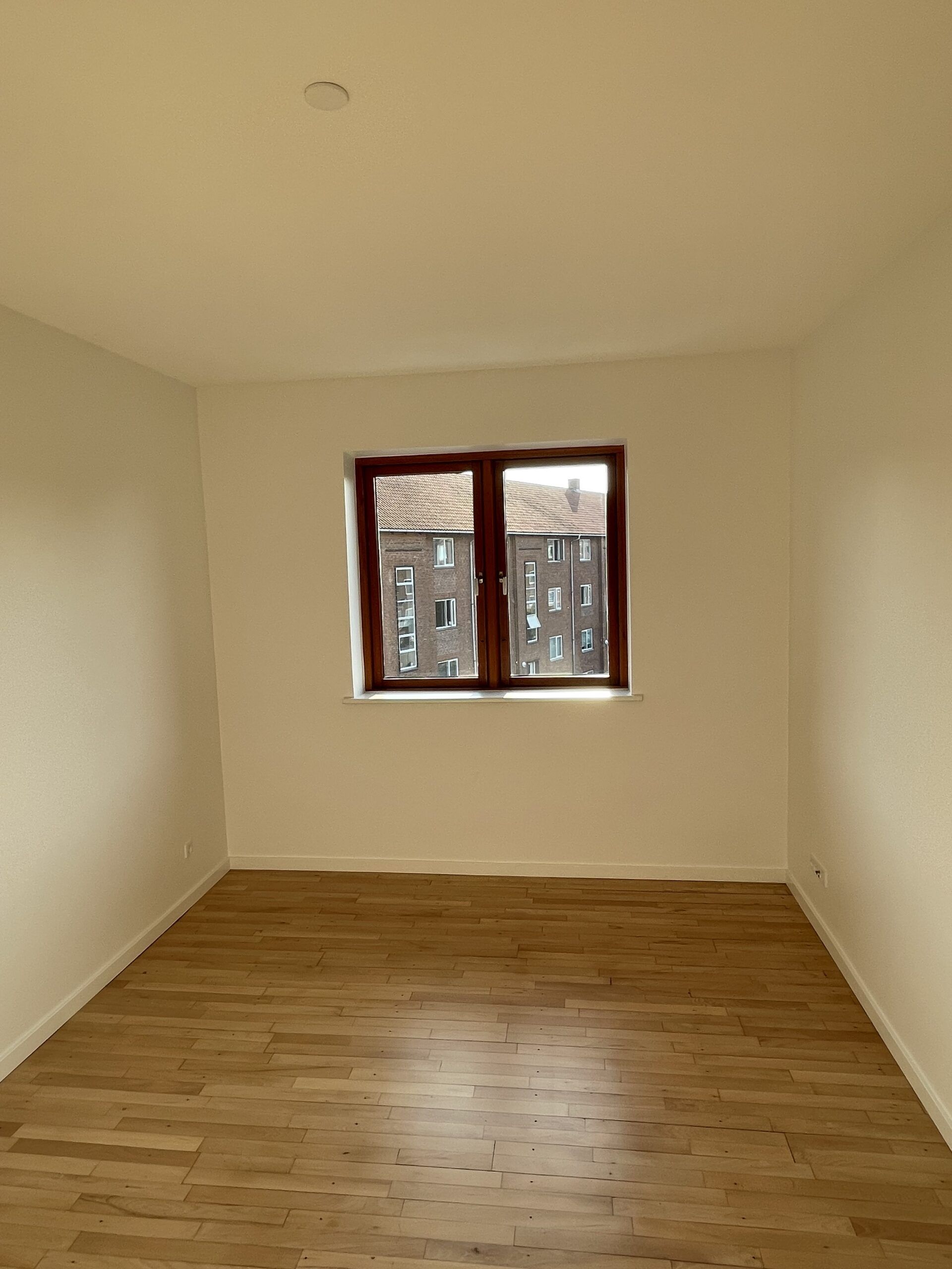 Gallery image 7