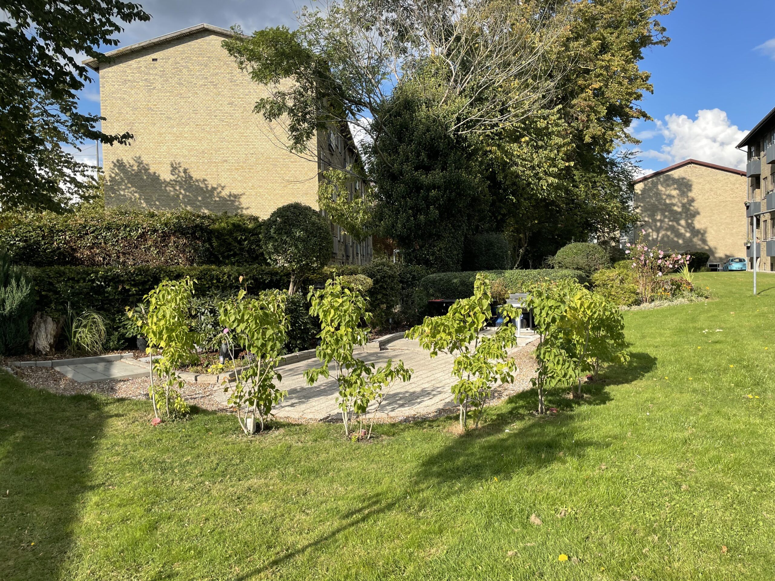 Gallery image 3