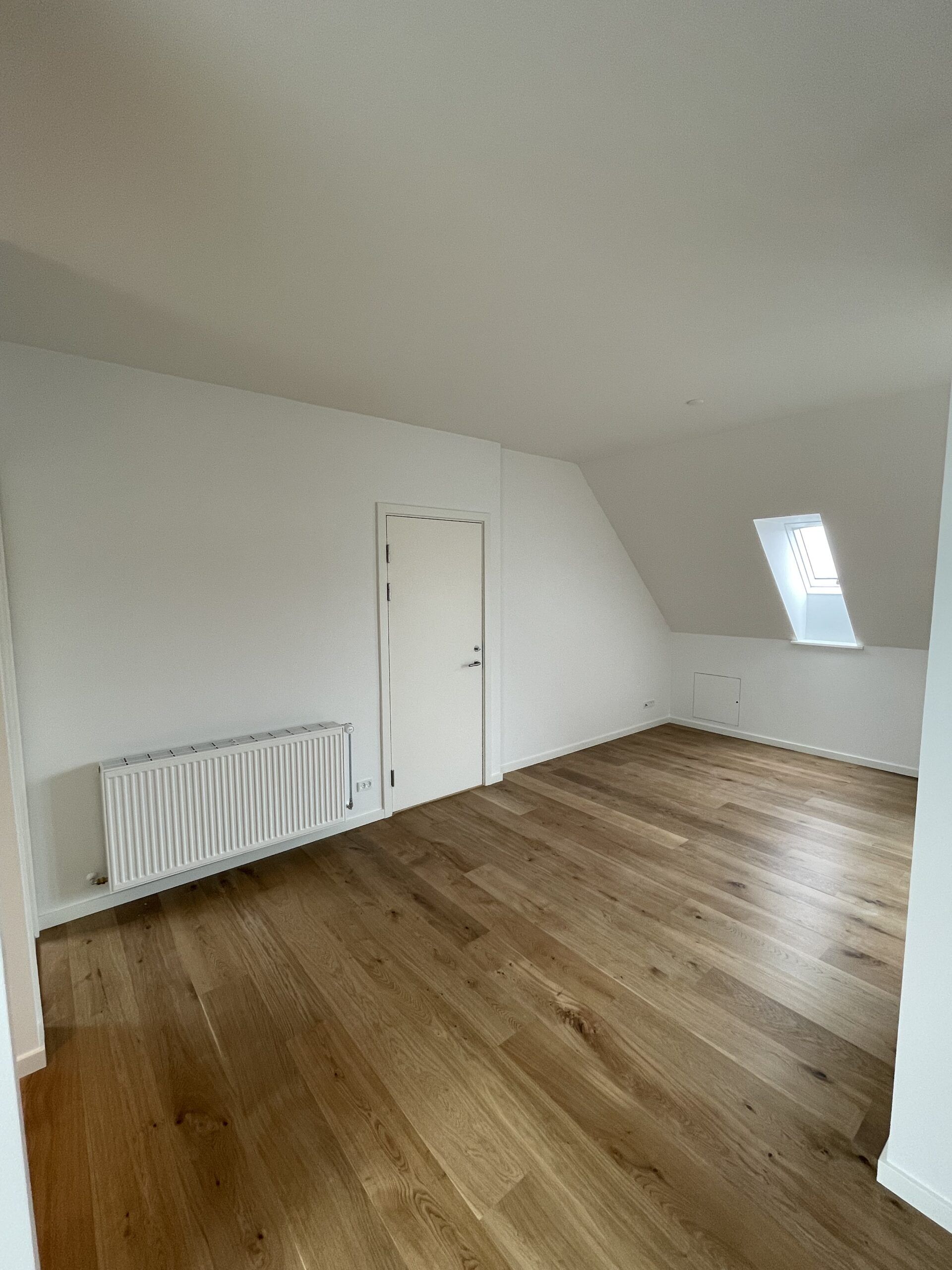 Gallery image 10