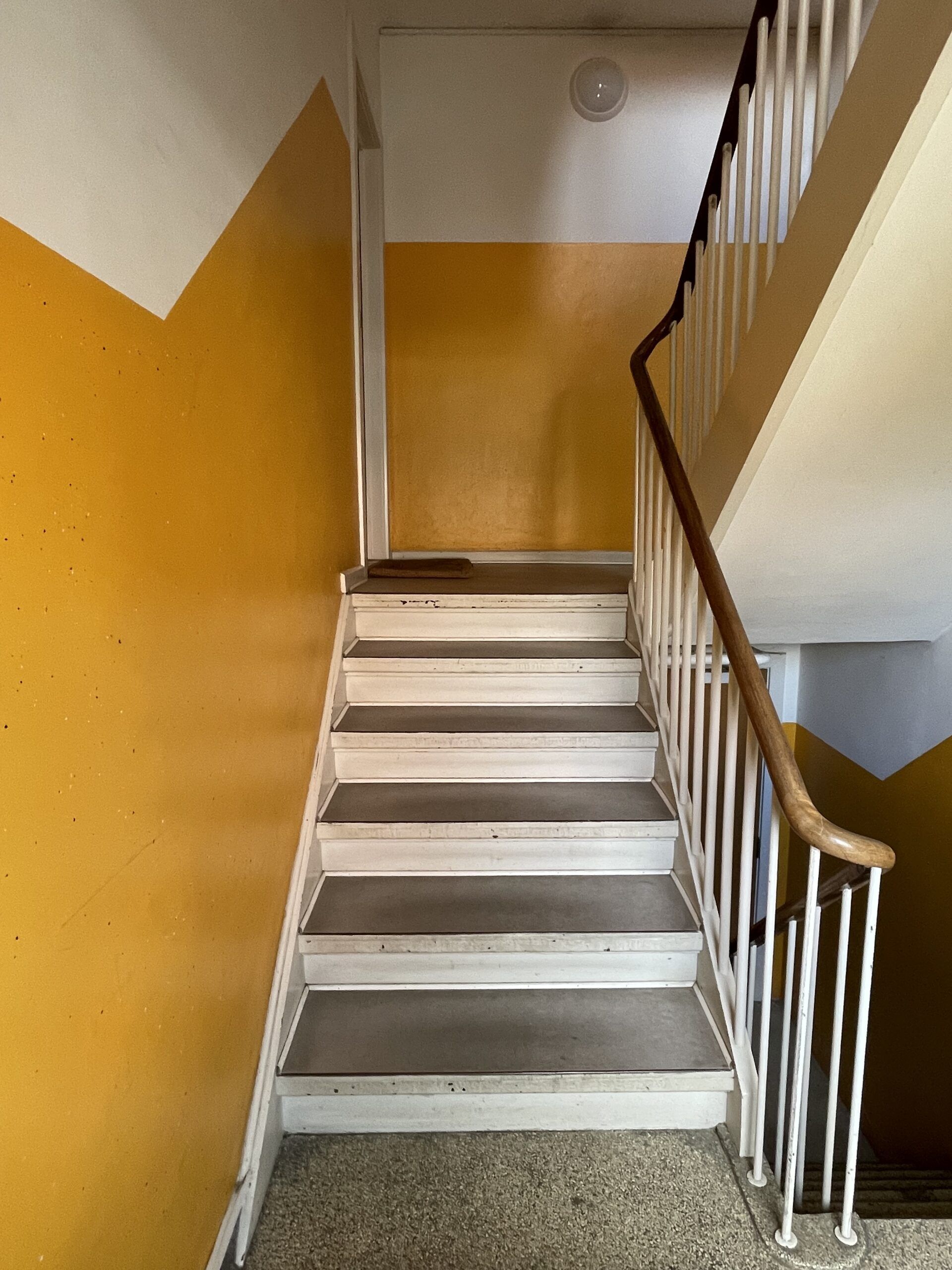 Gallery image 7