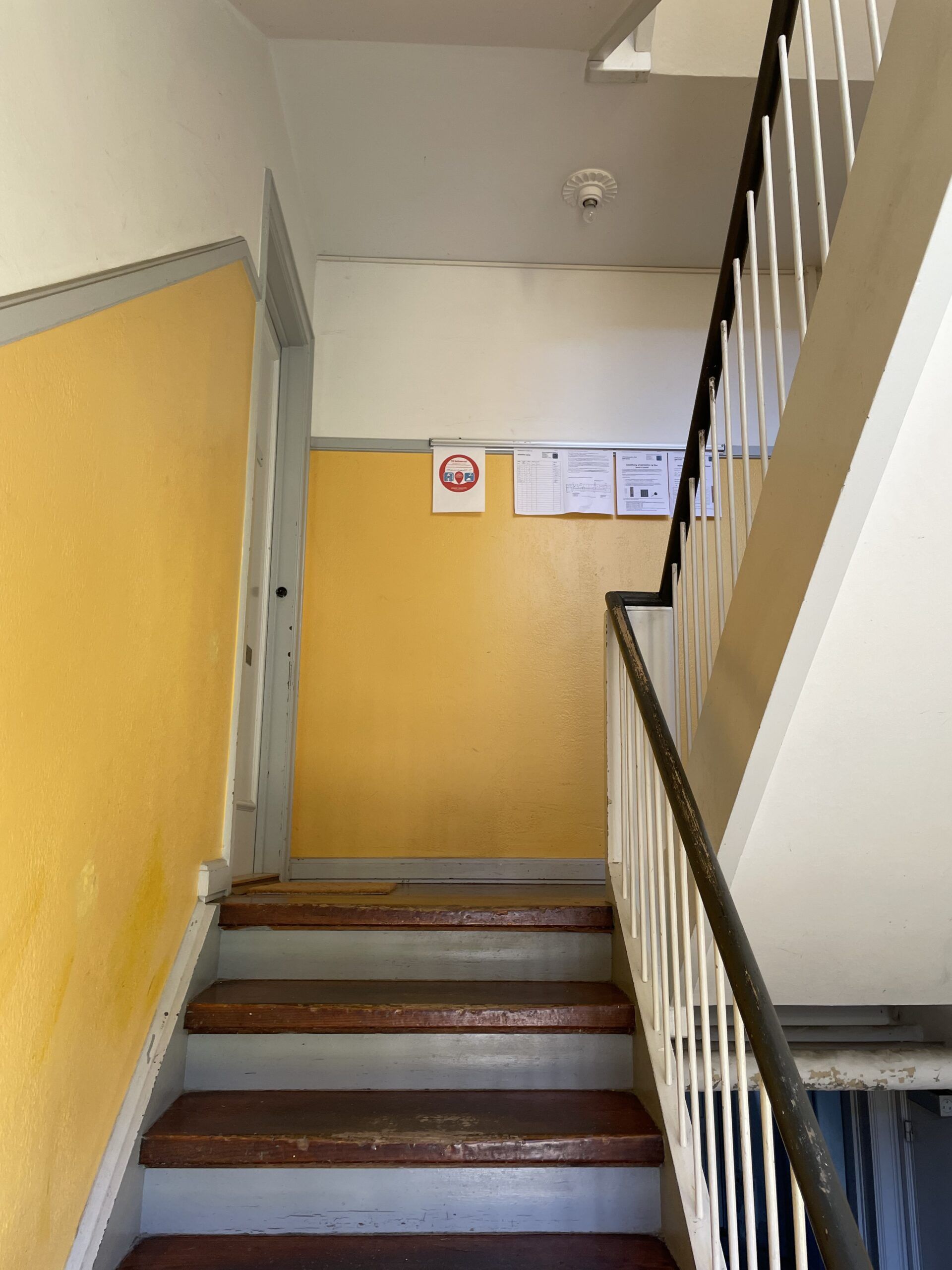 Gallery image 6